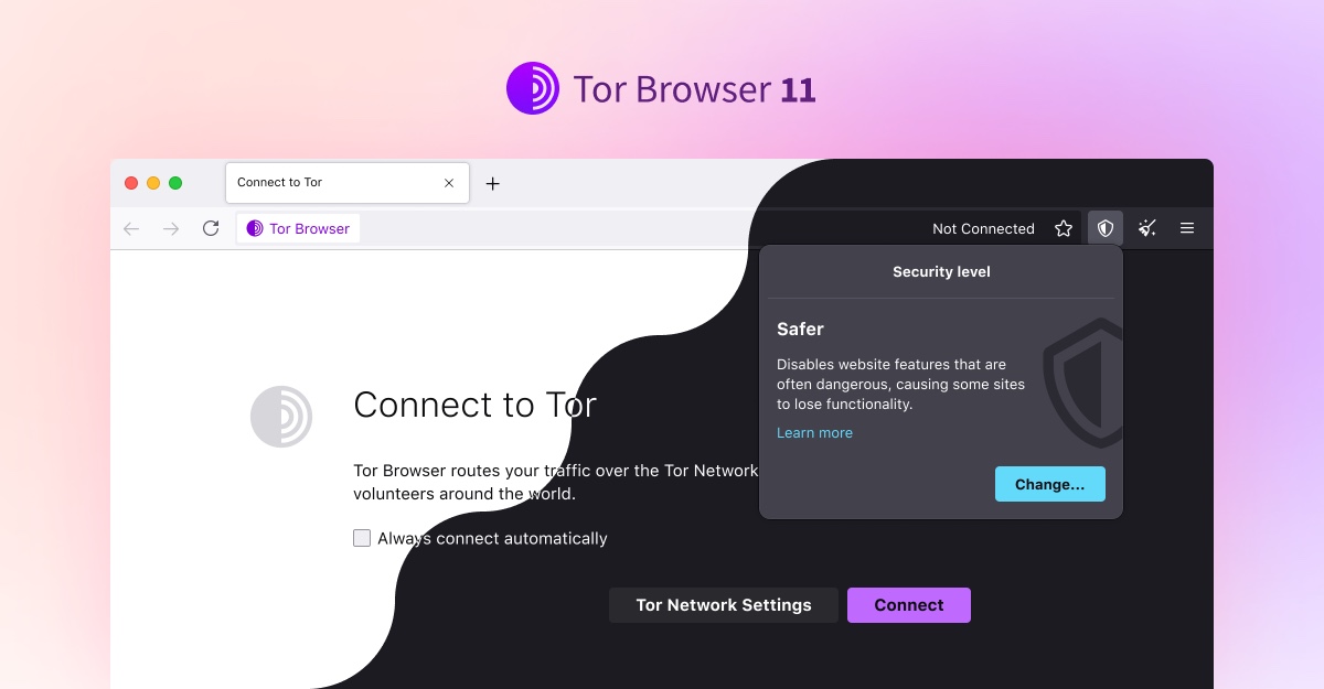 صفحهٔ اتصال مرورگر Tor نسخهٔ ۱۱ در طرح زمینهٔ روشن و تاریک